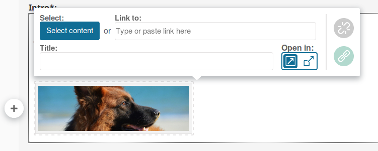 Adding a link to an image in Online Editor