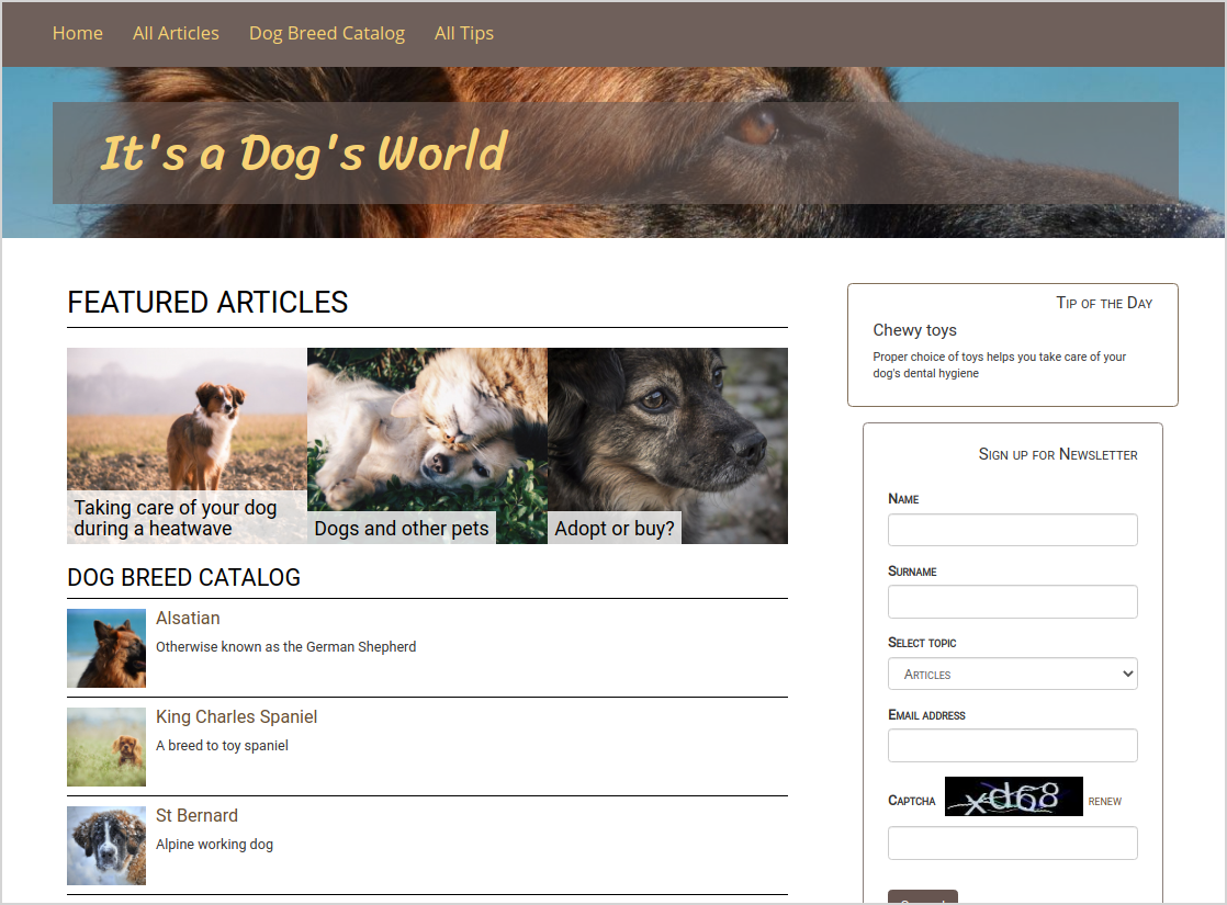 It's a Dog's World - final result