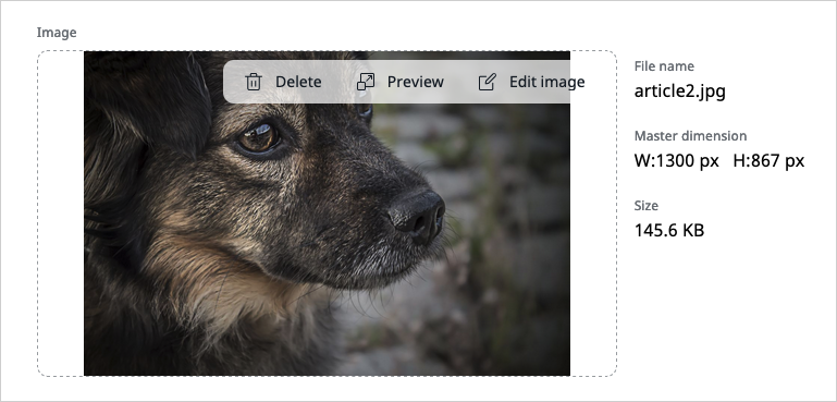 Image Editor icon
