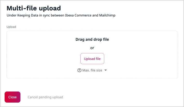 Multi-file upload